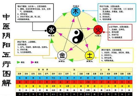 金生水個性|五行學說中的金生水是什麼意思？ 